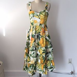 H&M Flower Print Dress Size 2 NWOT